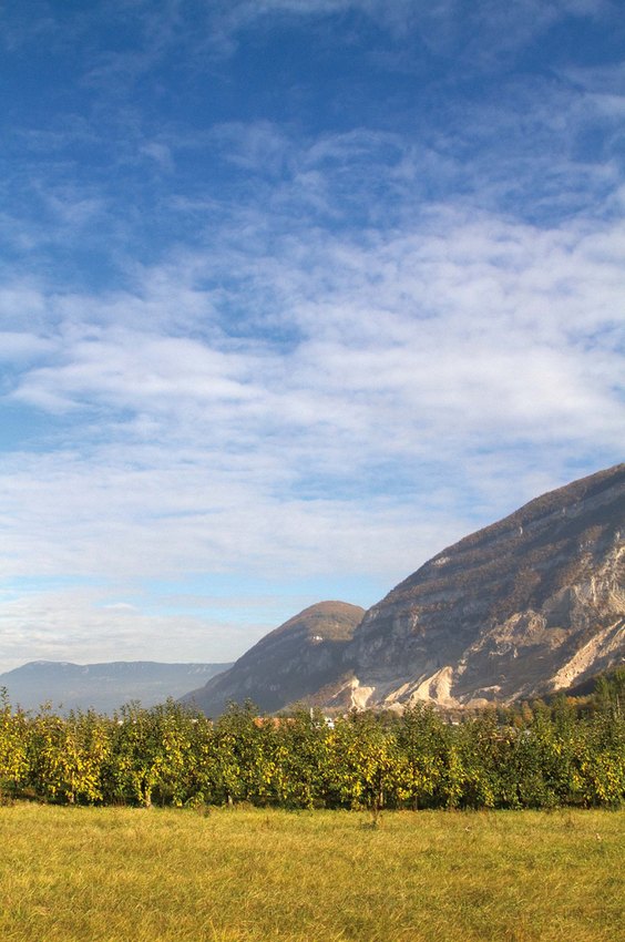 Images Longeole IGP – Swiss PDO-PGI Association